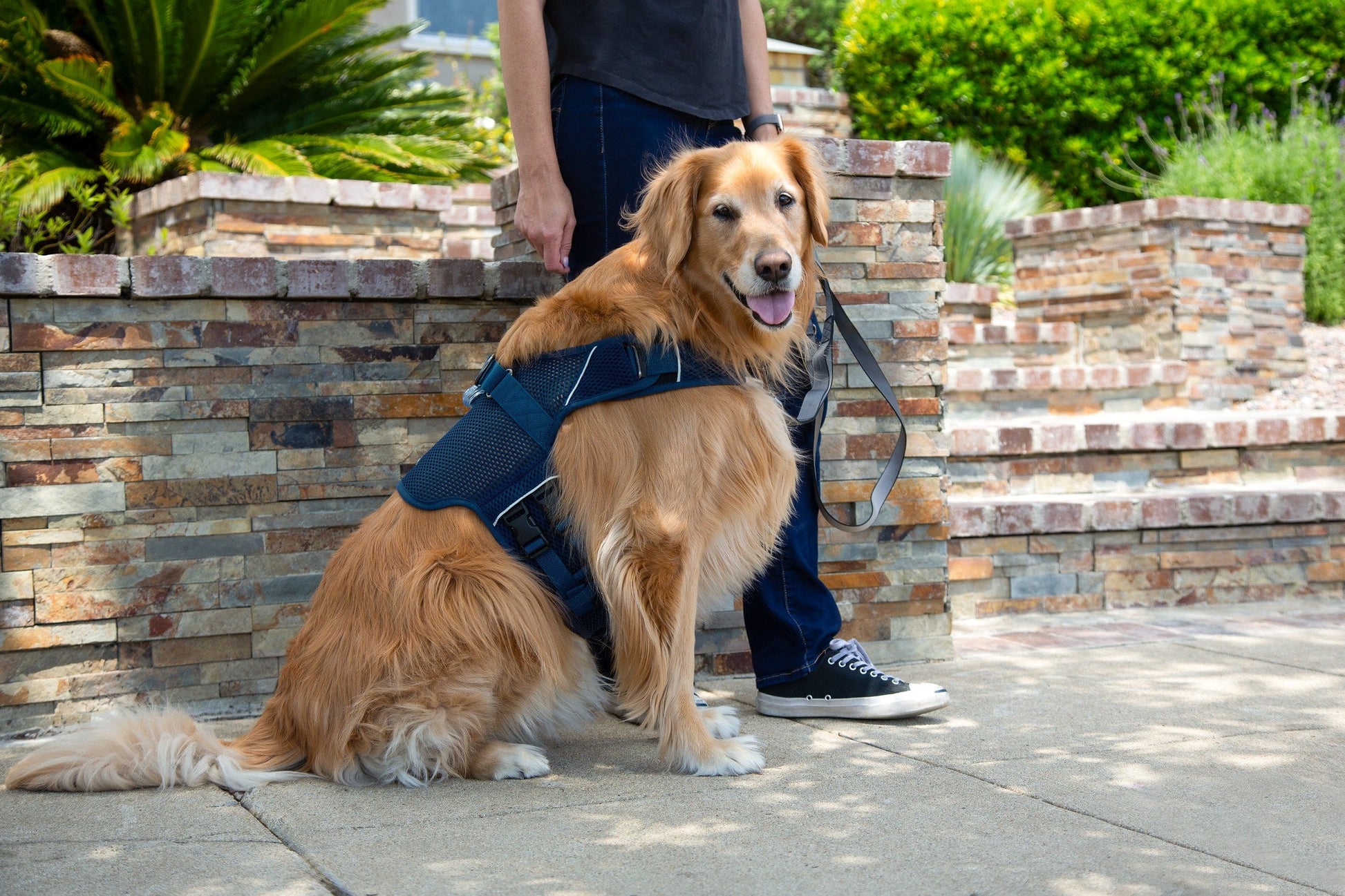 (midnight blue mesh)