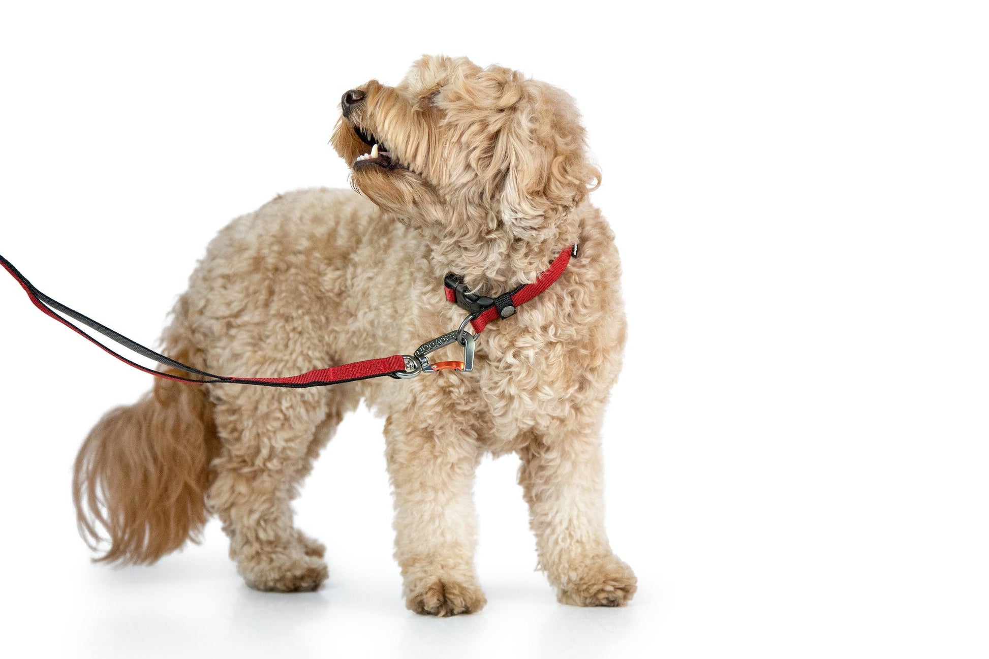 (Cranberry Red Chromaweave)