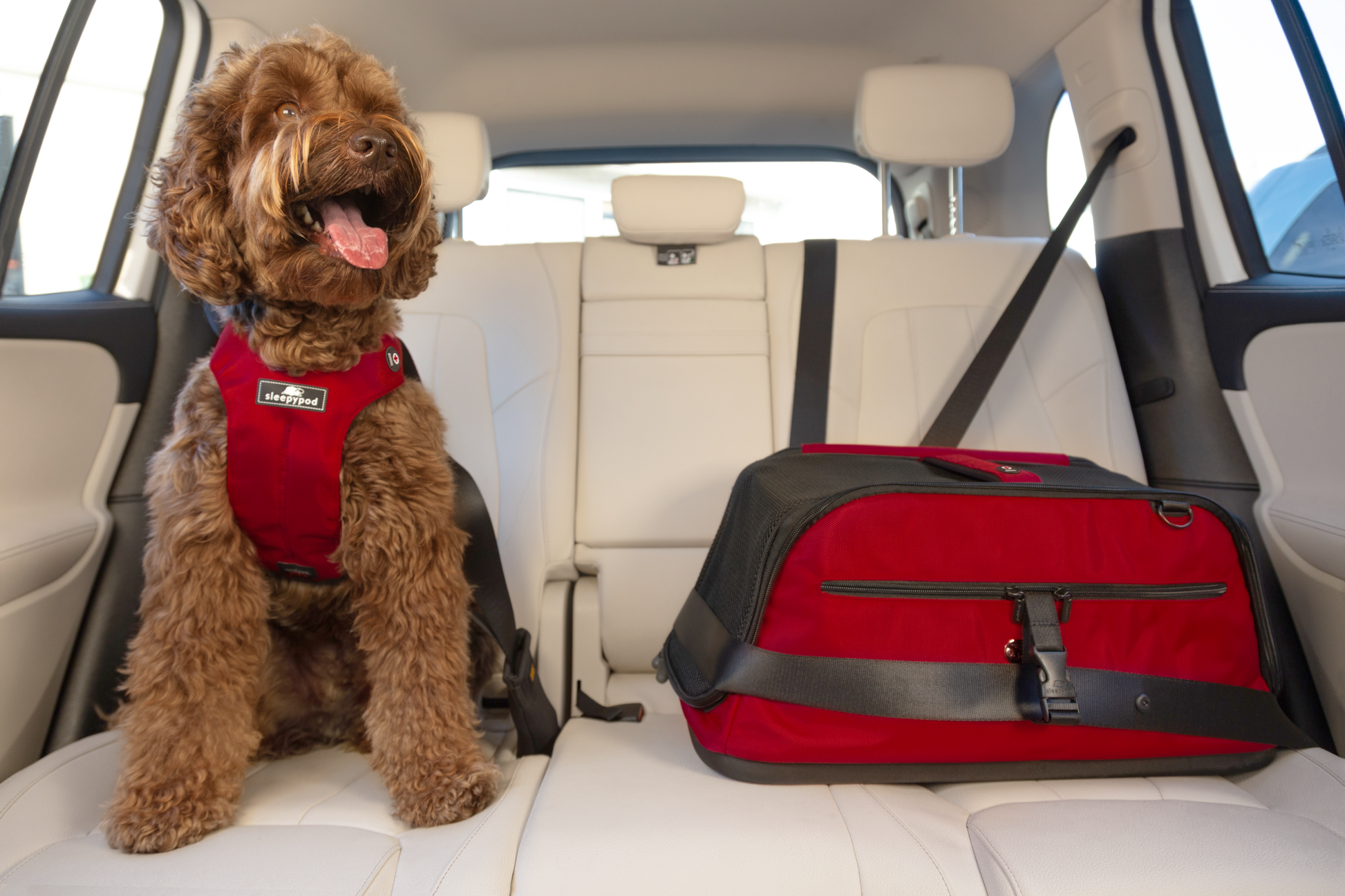 (American Red Cross edition strawberry red)