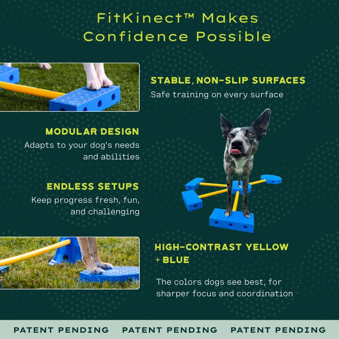 Fitpaws FitKinect™