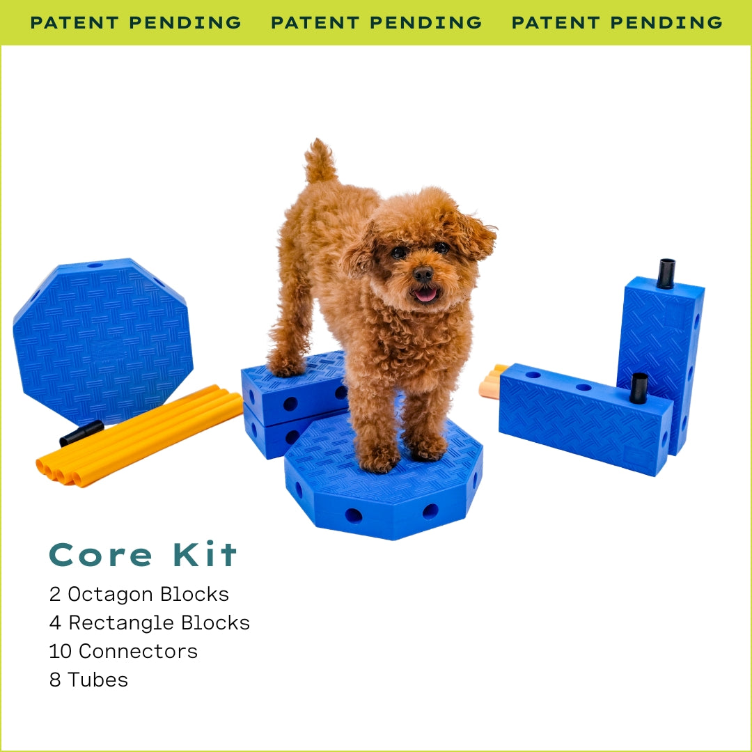 Fitpaws FitKinect™
