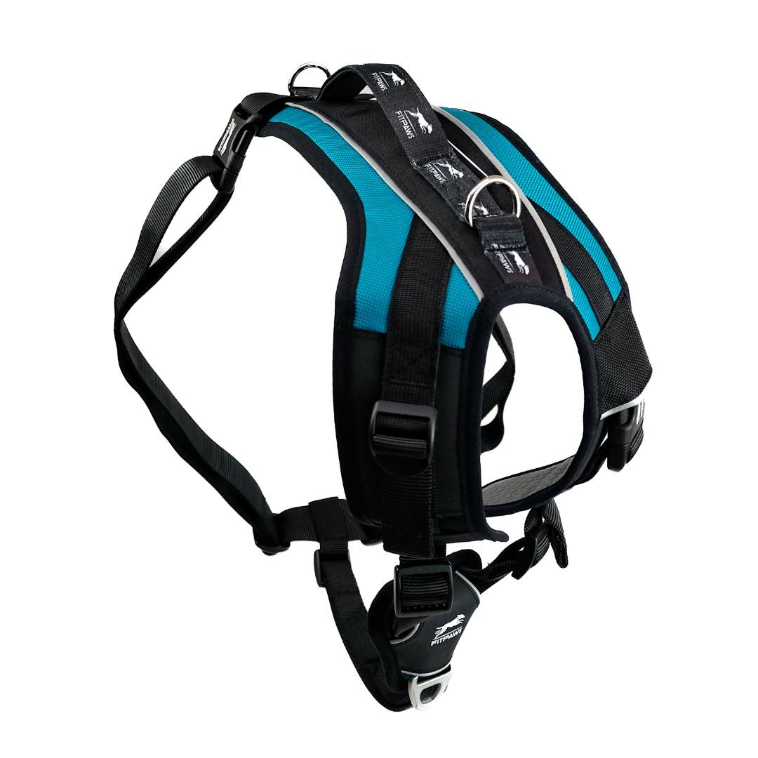 Made To Move Harness