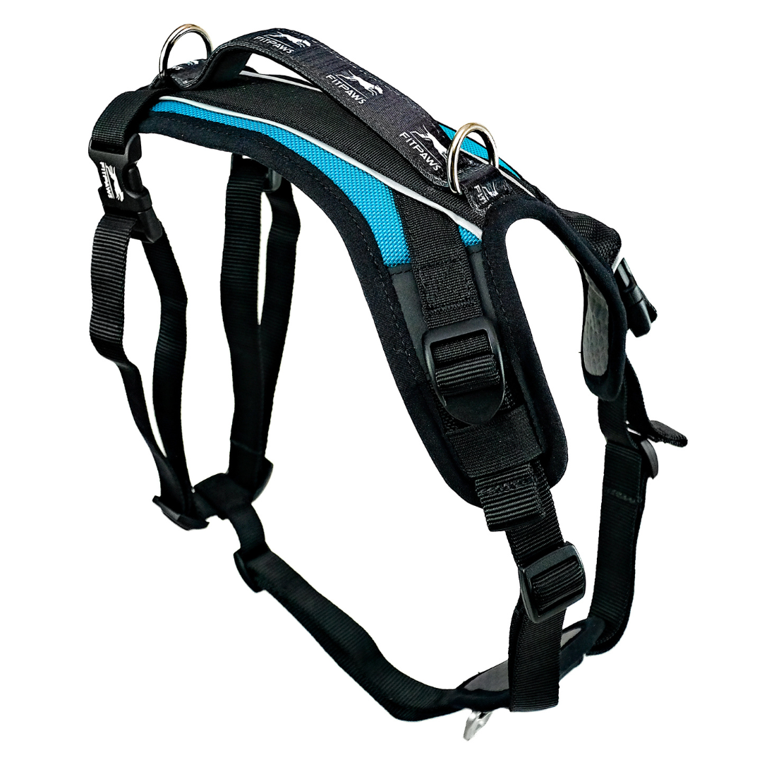 Made To Move Harness