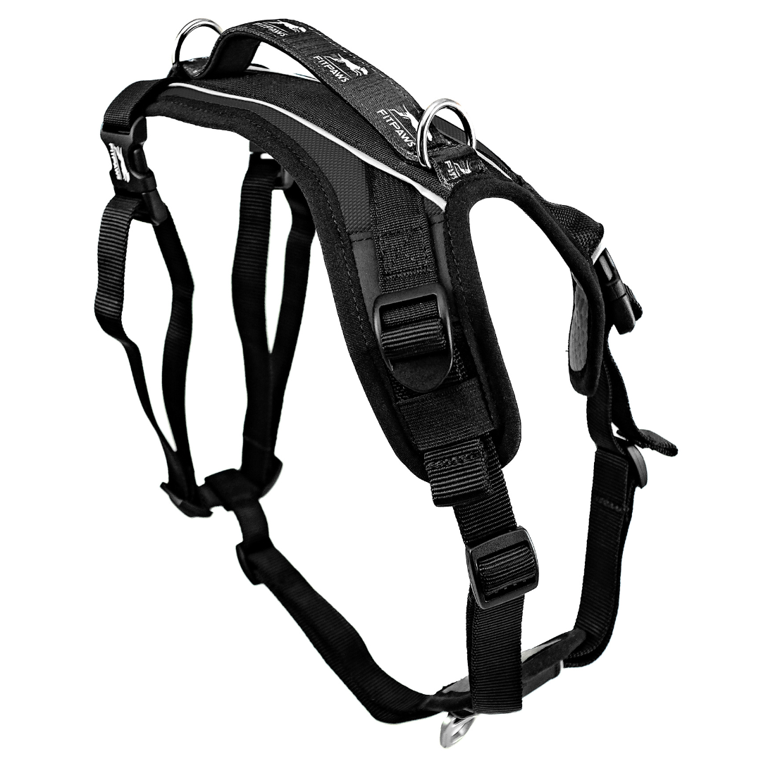 Made To Move Harness