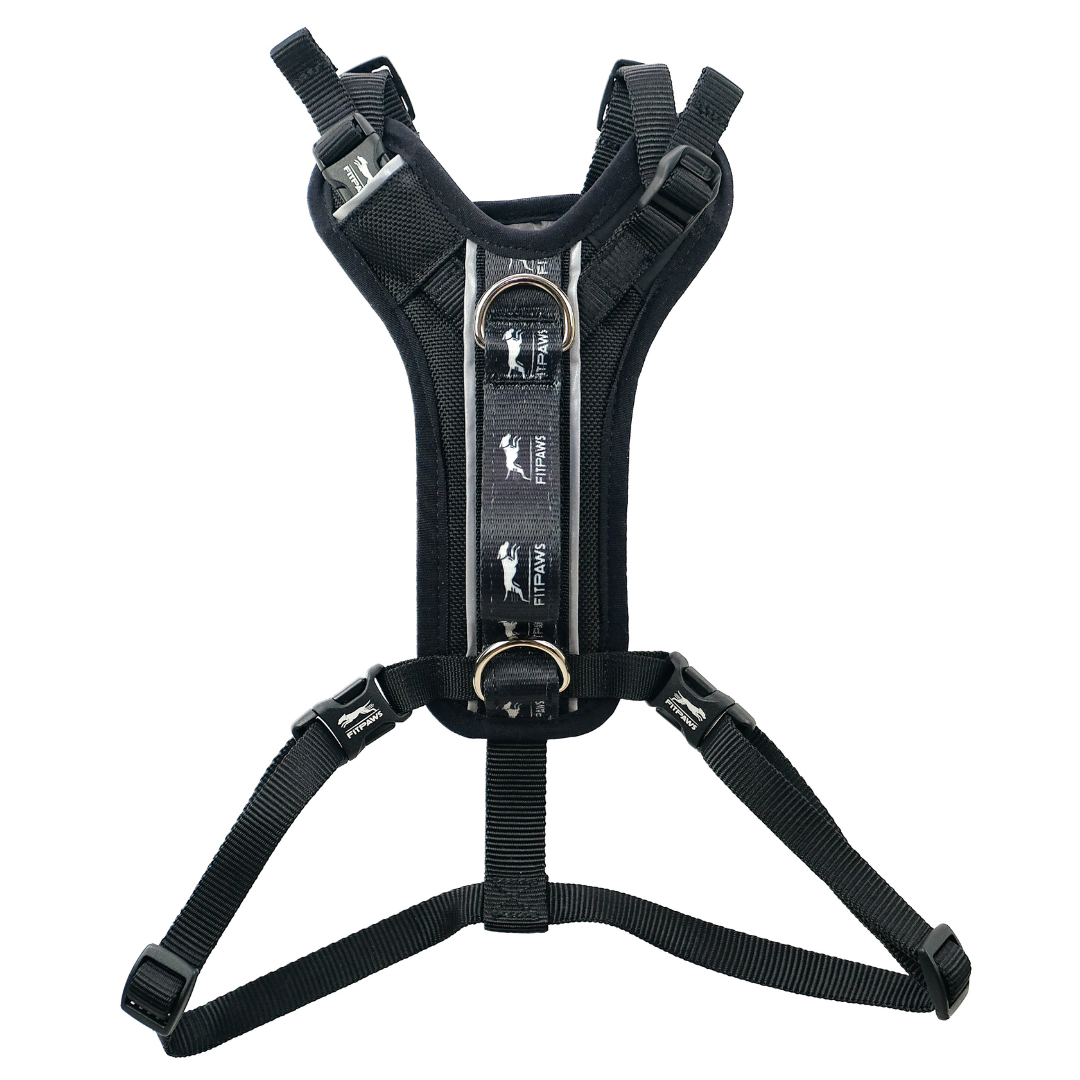 Made To Move Harness