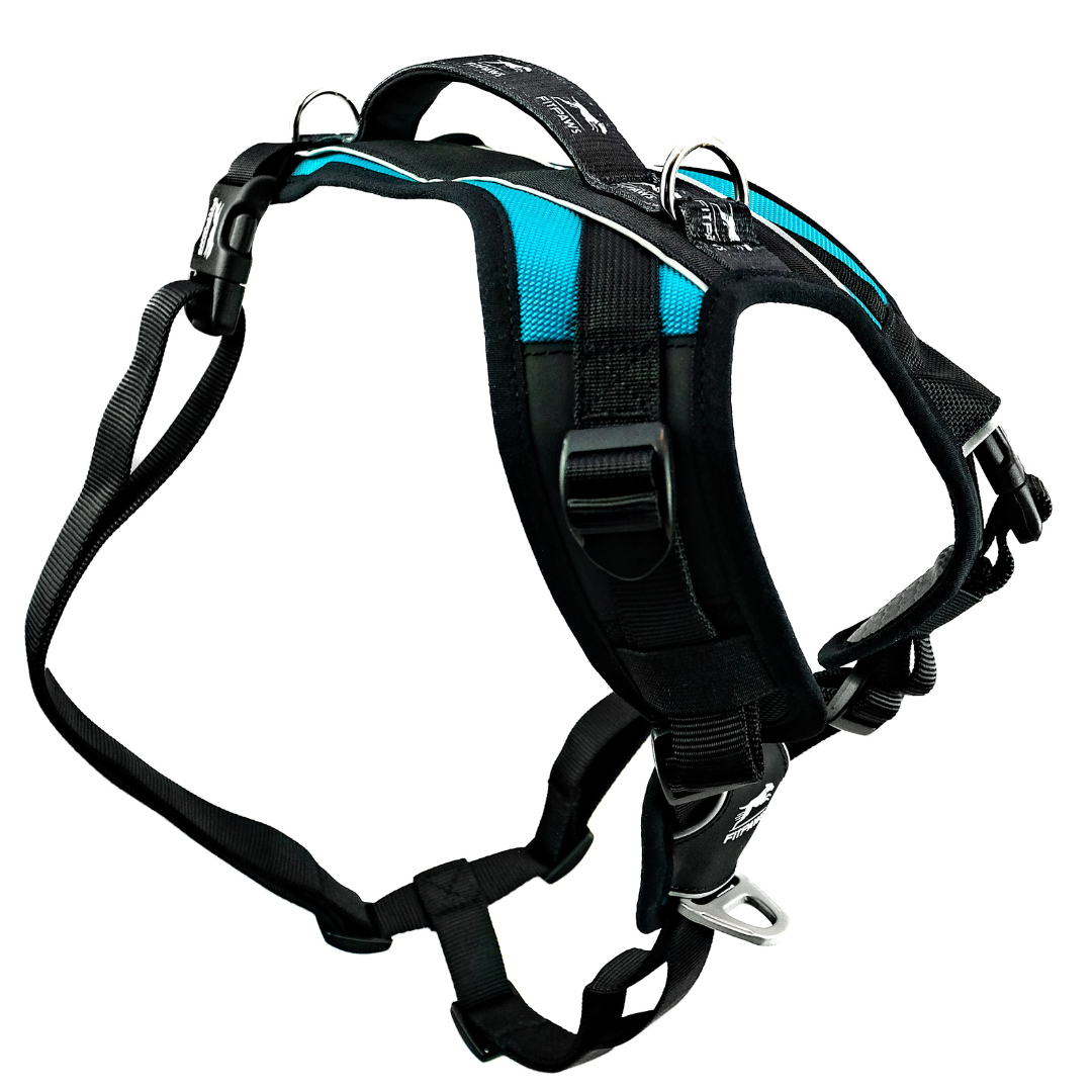 Made To Move Harness