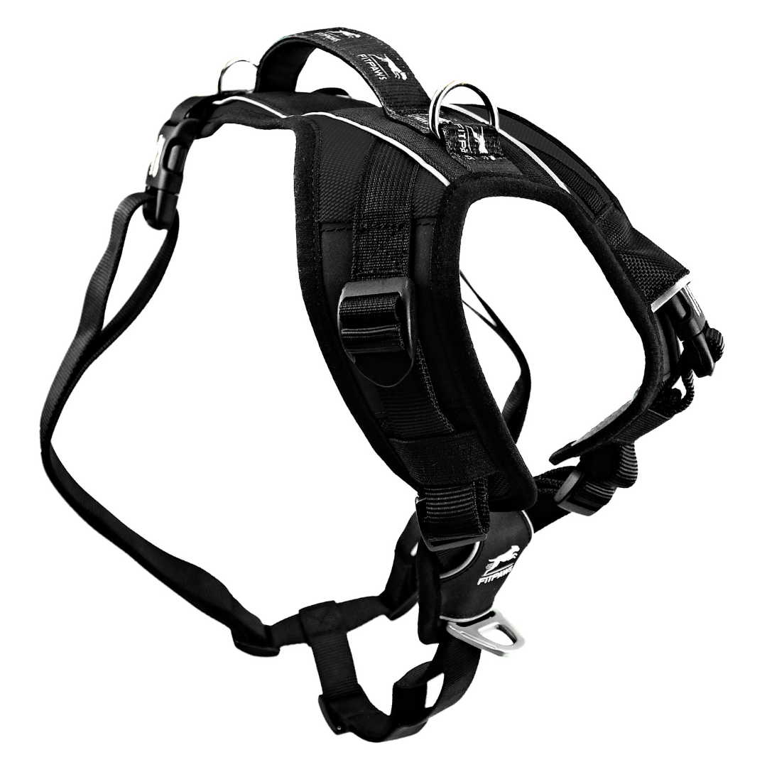 Made To Move Harness