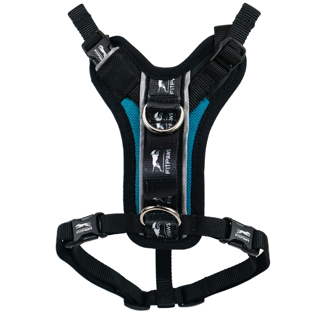 Made To Move Harness