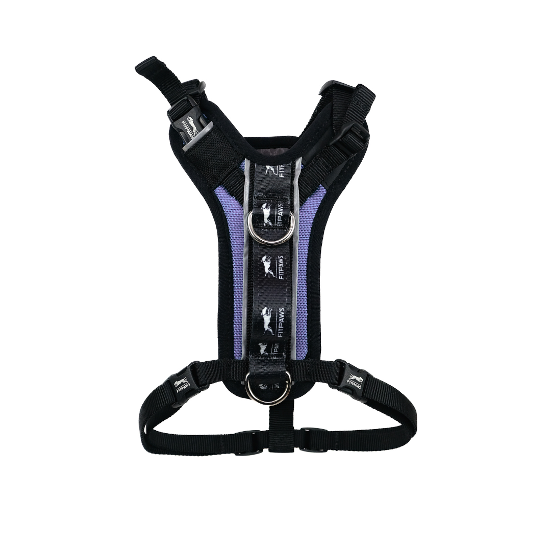 Made To Move Harness