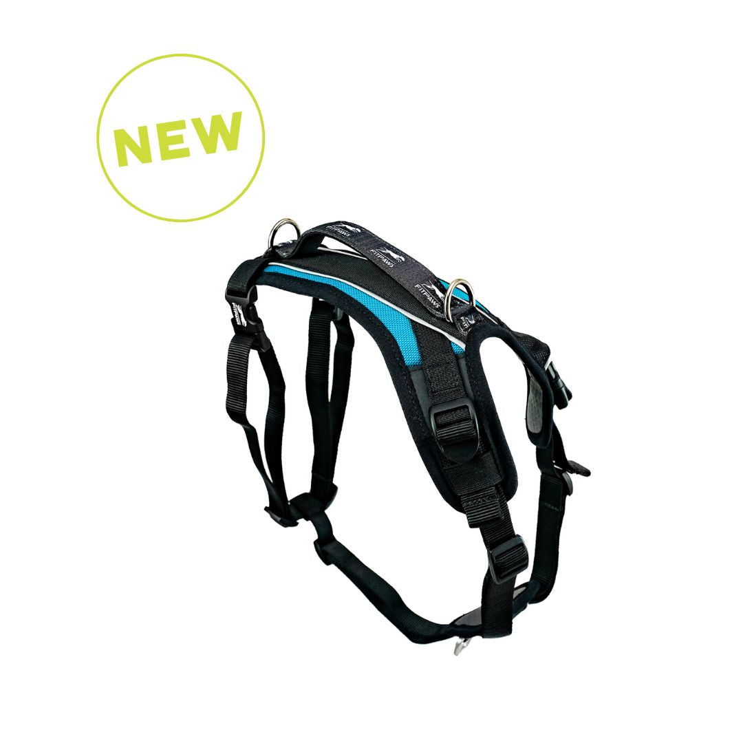 Made To Move Harness