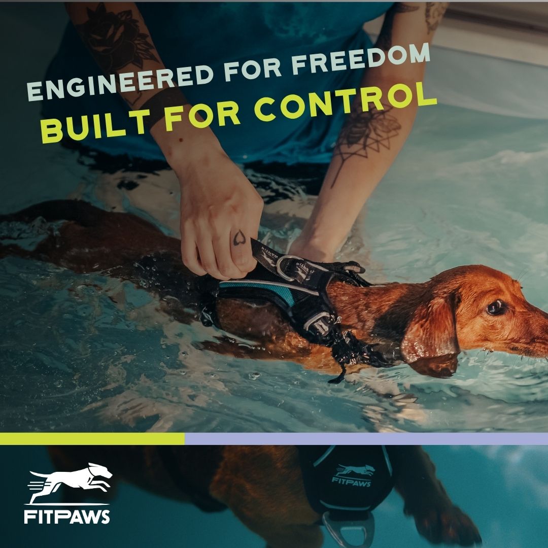 Made To Move Harness