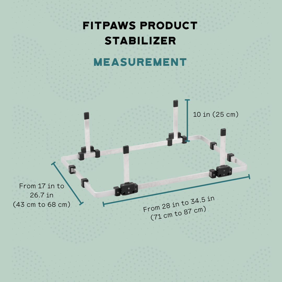FitPaws Product Stabilizer
