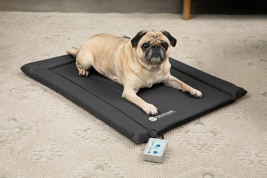Bio-Pulse PEMF Dog or Cat Bed/ Therapy Mat - Nylon