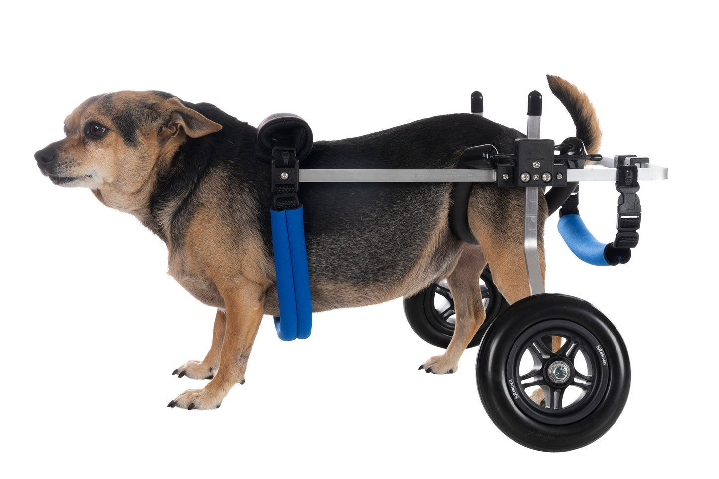 Dog Wheelchair for Back Legs – Rear Support