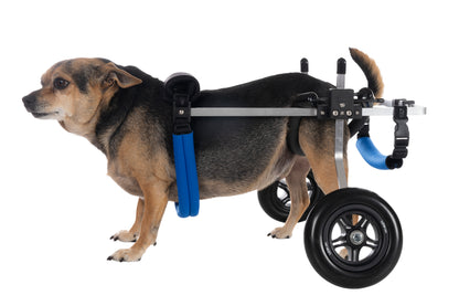 Dog Wheelchair for Back Legs – Rear Support