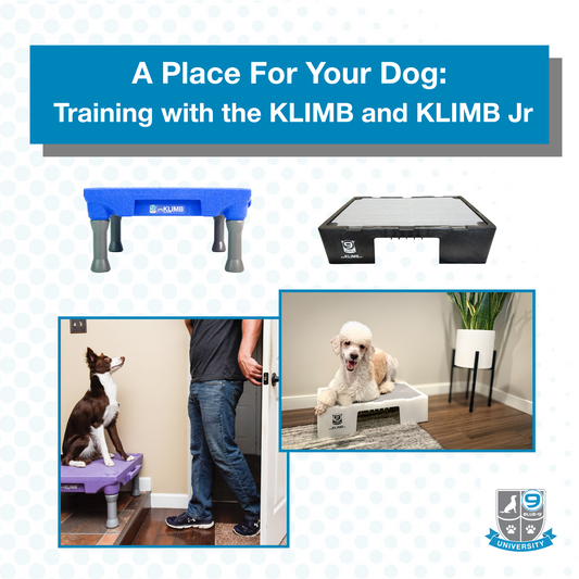 Advertisement for dog training products KLIMB and KLIMB Jr with images of dogs using the products.