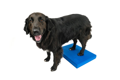 FitPaws Balance Pad