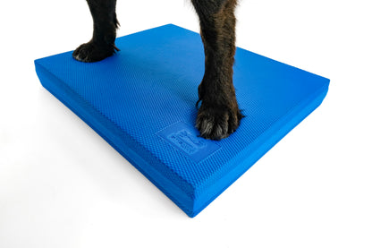 FitPaws Balance Pad