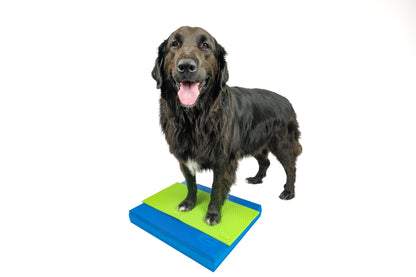 FitPaws Balance Pad