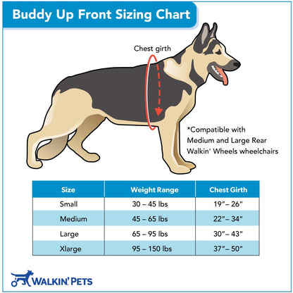 Buddy Up Front Sizing Image