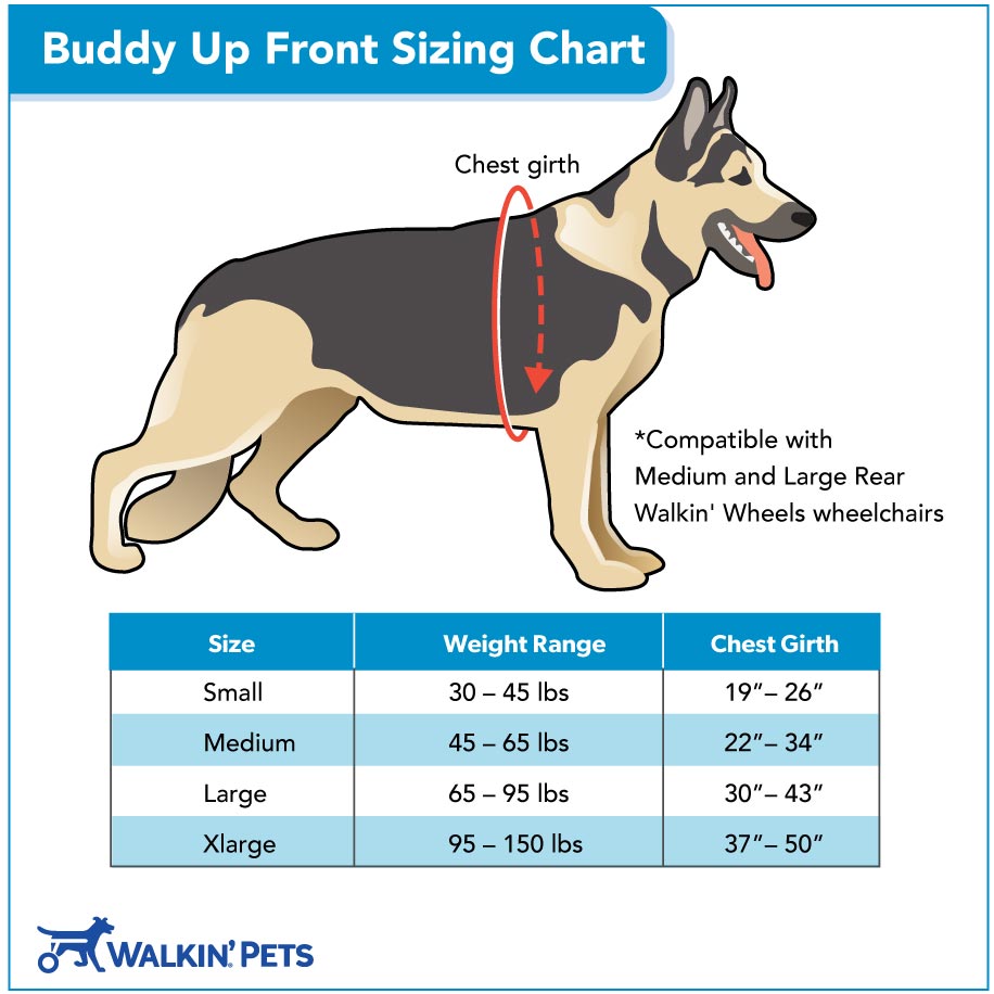 Buddy Up Front Sizing Image