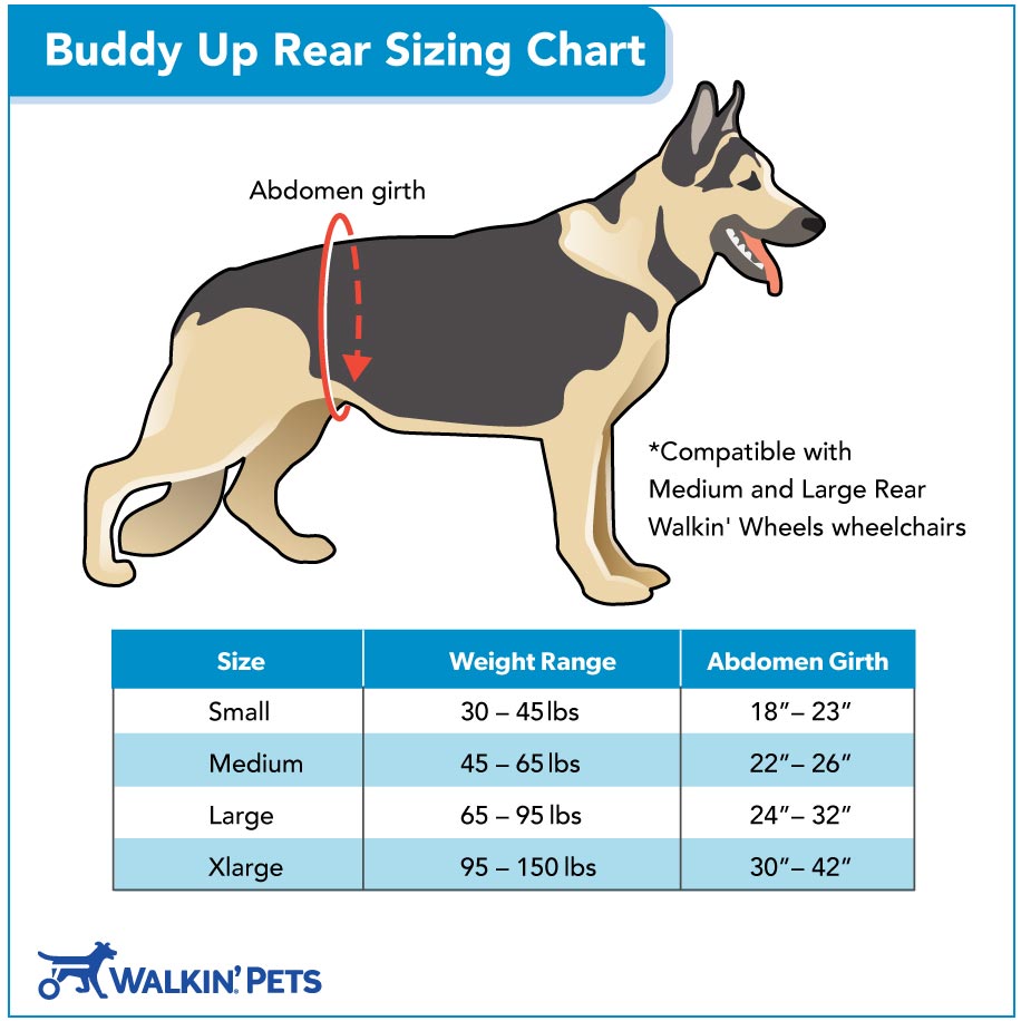 Buddy Up™  Full Body Lifting Harness