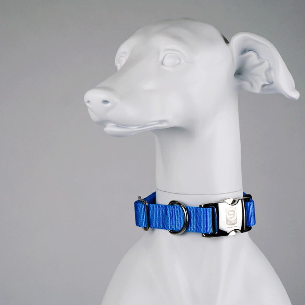 Secure Pro Dog Collar