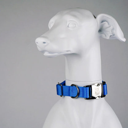 Secure Pro Dog Collar