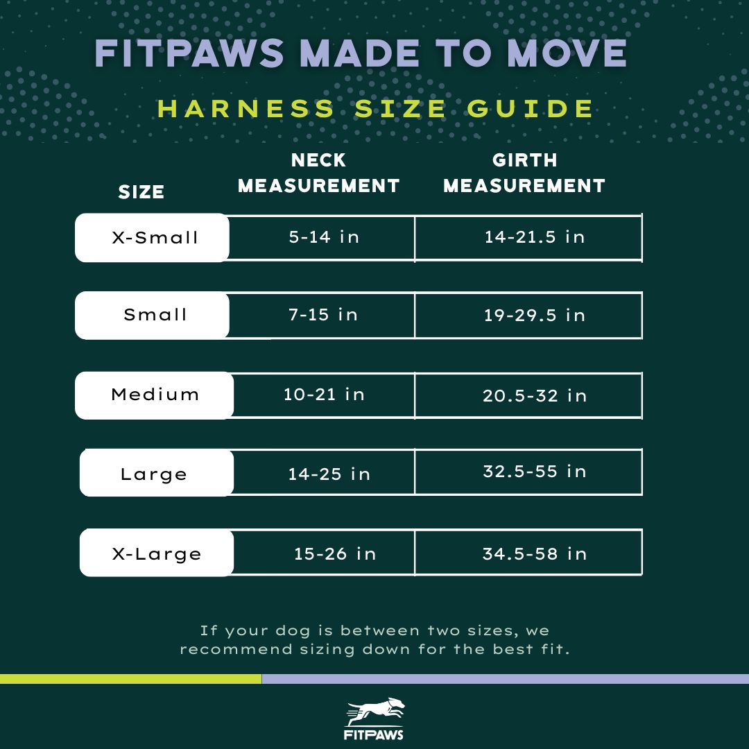 FITPAWS MADE TO MOVE HARNESS AND LEASH