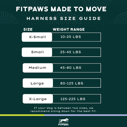 Made To Move Harness