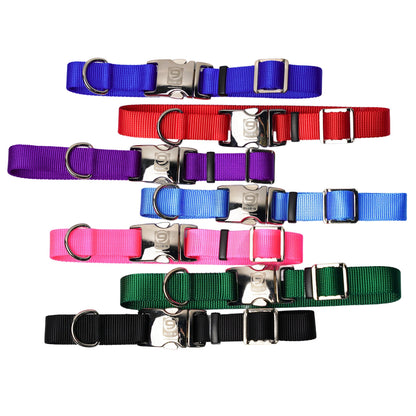 Secure Pro Dog Collar