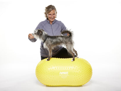 FitPaws Trax Peanut Dog Training Platform Yellow 40cm