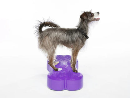 Regular K9FITbone Dog Balance Training Platform