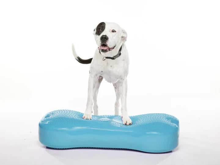 Giant K9FITbone Dog Balance Training Platform