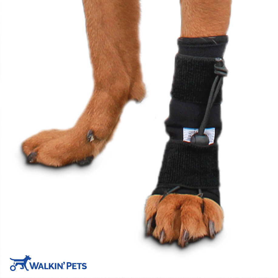 Front No-Knuckling Training Sock