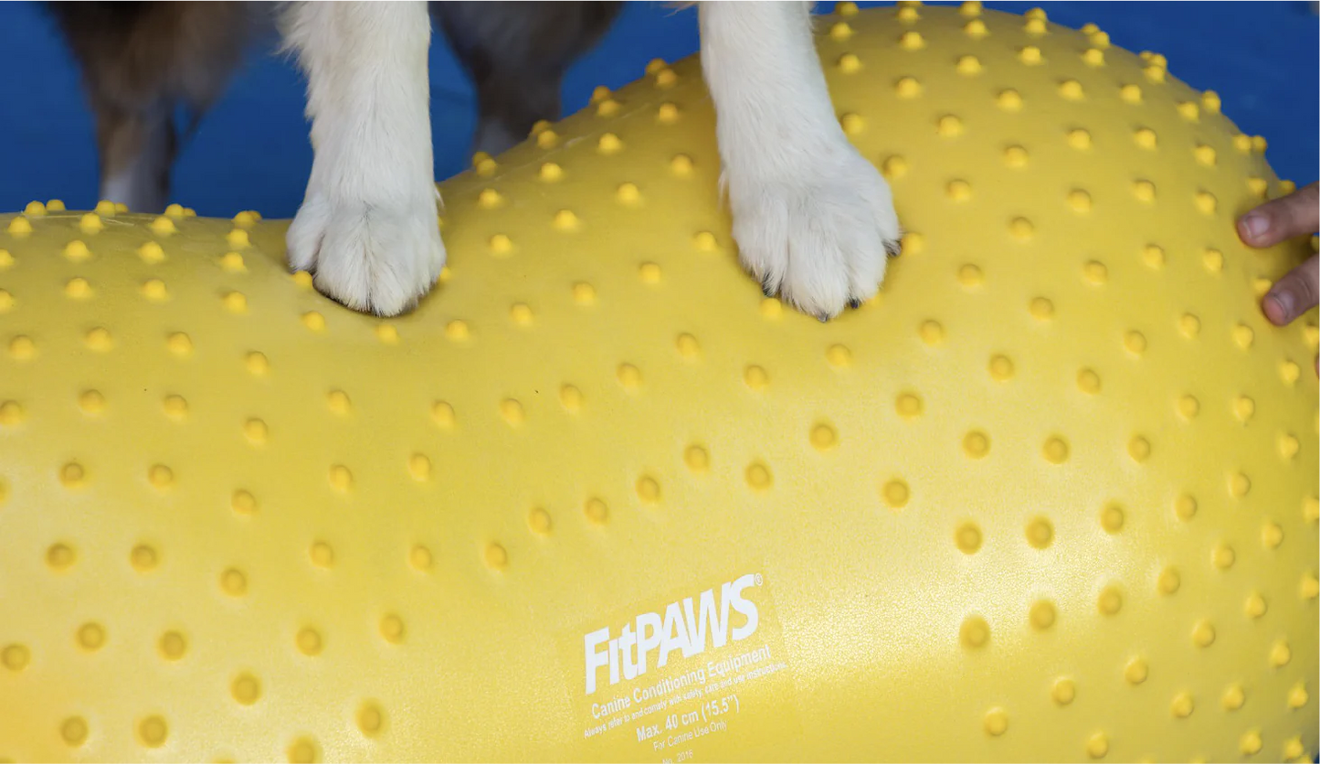 FitPaws Trax Peanut Dog Training Platform (Various Sizes)