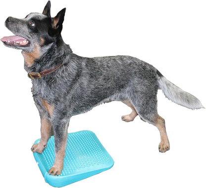 FitPaws Balance Ramp