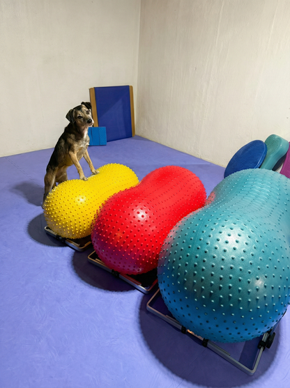 FitPaws Product Stabilizer