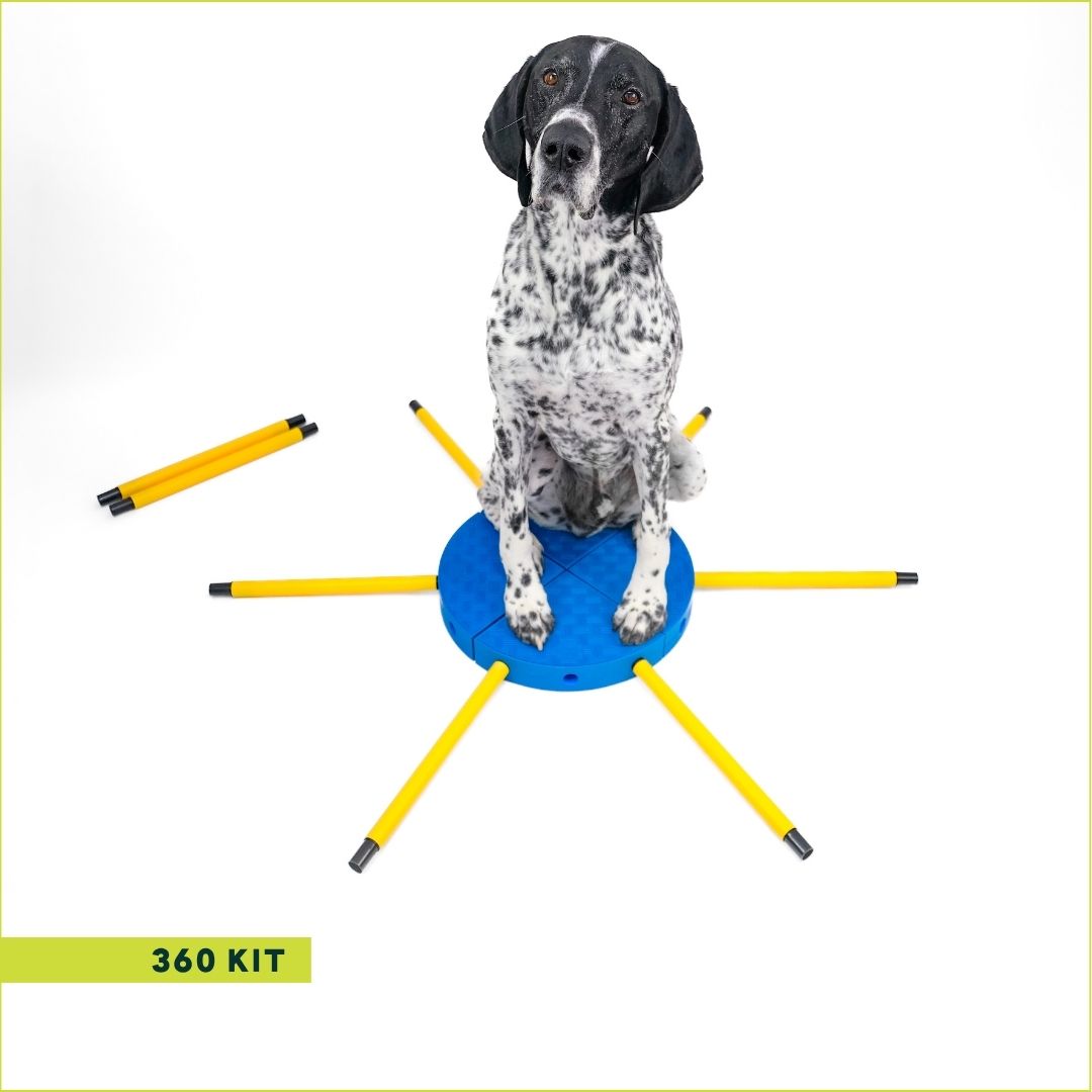 Fitpaws FitKinect™