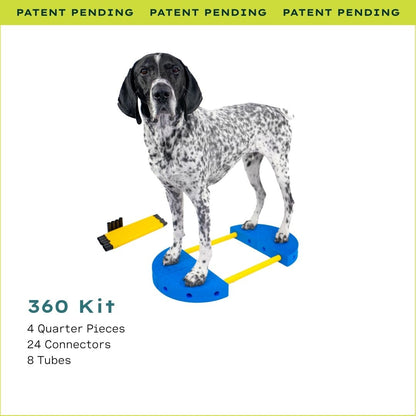 Fitpaws FitKinect™