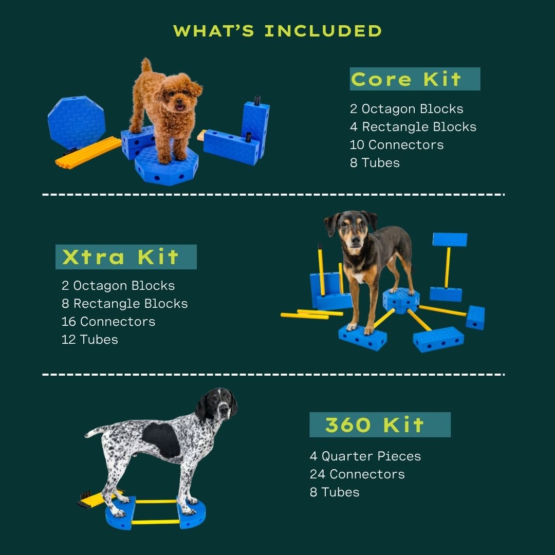 Fitpaws FitKinect™