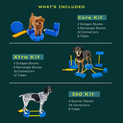 Fitpaws FitKinect™