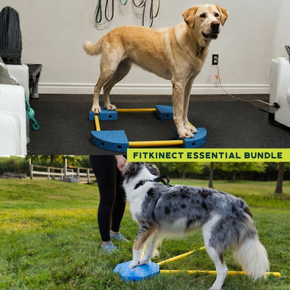 Fitpaws FitKinect™