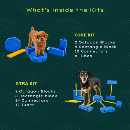 Fitpaws FitKinect™