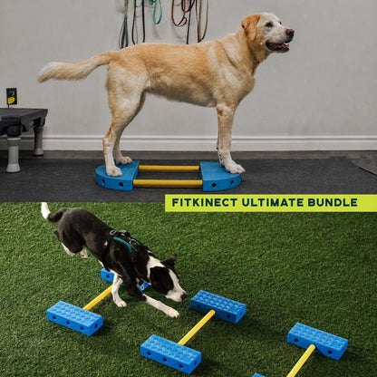 Fitpaws FitKinect™