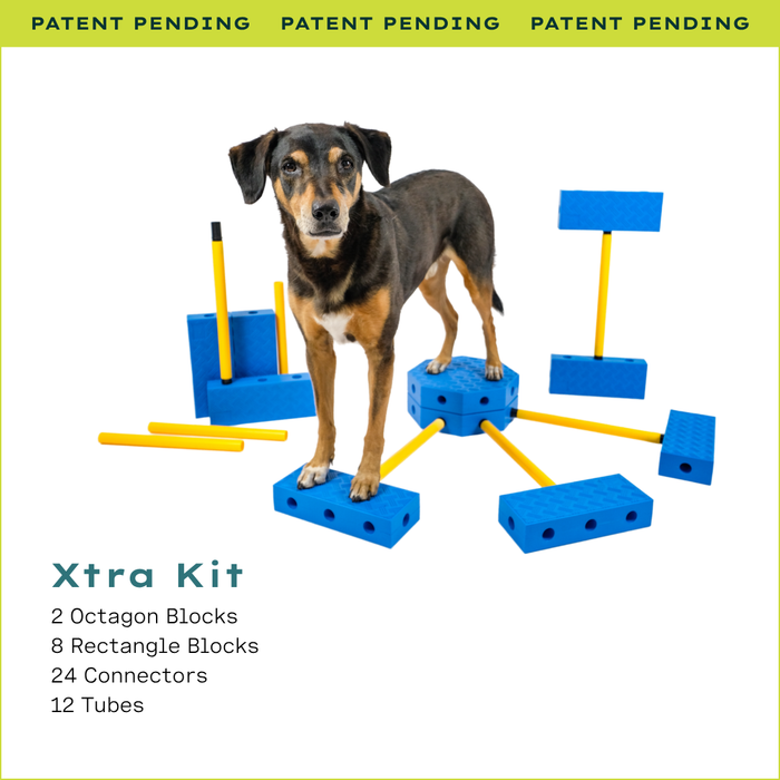 Fitpaws FitKinect™