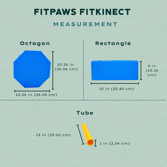 Fitpaws FitKinect™