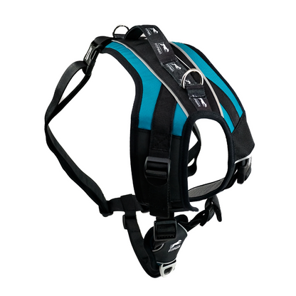 Made To Move Harness