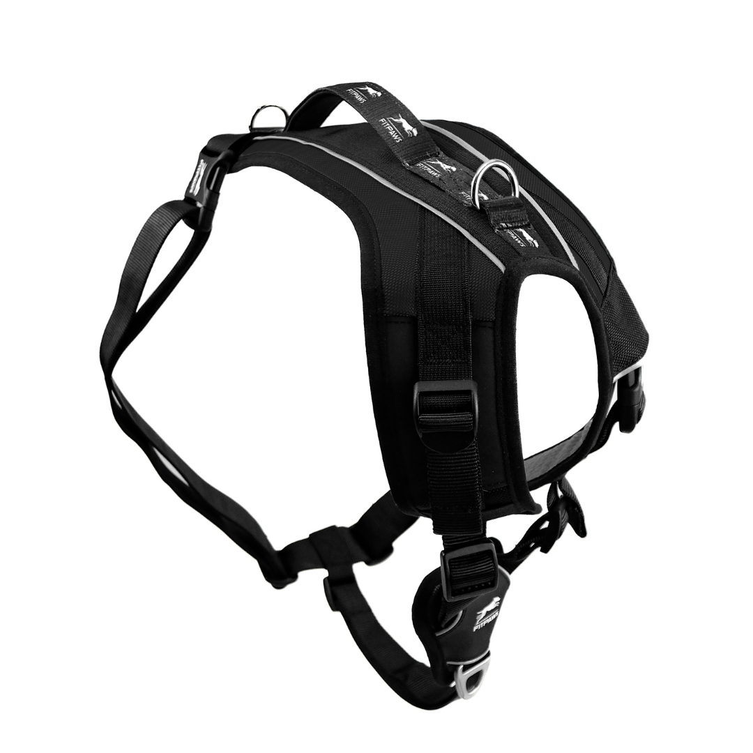 Made To Move Harness