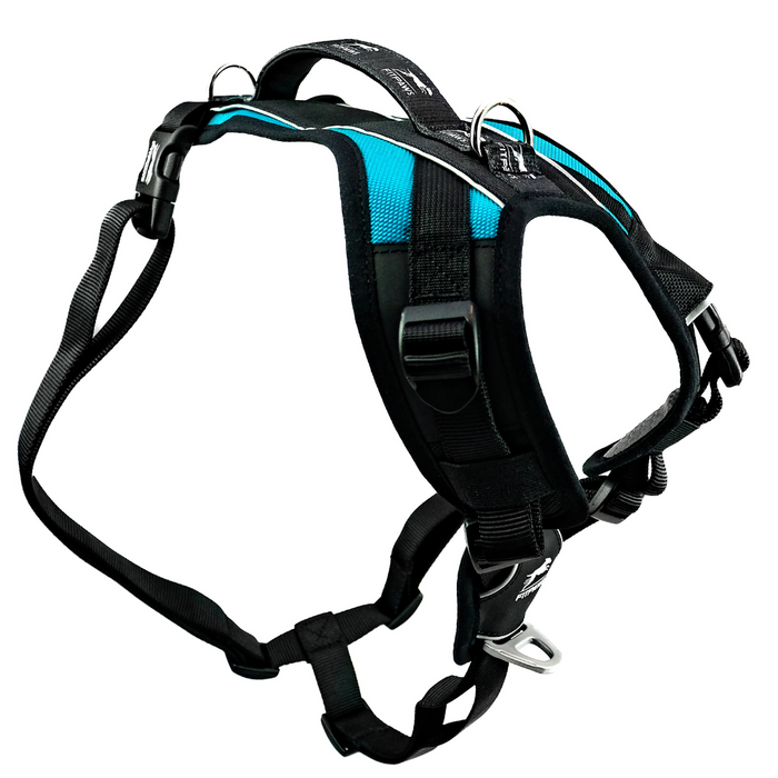 Made To Move Harness